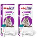 2 MSD Bravecto Gatos Transdermal Gato - Violeta - 0 - 6.25 kg - 12.5 kg