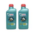 2 Óleo Castrol Sintético 5w40 Magnatec A3 Vw 2 Óleo Castrol Sintético 5w40 Magnatec A3 Vw