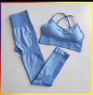 2 Peças Conjunto Top Sutiã Legging Levanta Bumbum Sem Costura Cintura Alta Feminino Academia