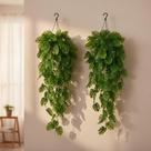 2 Pendentes Costela De Adão Artificial Jardim Vertical Ramos