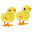 2 Pintinho Amarelinho Divertido De Pelúcia A Corda Infantil 2 Pintinho Amarelinho Divertido De Pelúcia A Corda Infantil