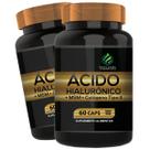 2 Potes Acido Hialuronico + Colageno Tipo II + MSM Kit 120 Cáps - Fonte Verde 2 Potes Acido Hialuronico + Colageno Tipo II + MSM Kit 120 Cáps - Fonte Verde