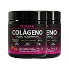 2 Potes Colágeno Verisol Com Ácido Hialurônico Premium e Vitaminas e Minerais, Pele, Cabelos e Unhas, Sabor Frutas Vermelhas 2 Potes Colágeno Verisol Com Ácido Hialurônico Premium e Vitaminas e Minerais, Pele, Cabelos e Unhas, Sabor Frutas Vermelhas