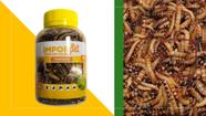 2 Potes com Tenébrio Desidratado para Aves Peixes Répteis Roedores e Pequenos Primatas 35g Importado
