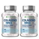 2 Potes de Colágeno Tipo 2 Forma Pura Concentrada 500mg 120Cáps Ecomev