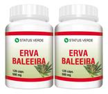 2 Potes Erva Baleeira Pura Natural Kit 240 cápsulas de 500mg
