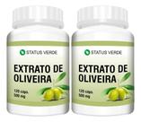 2 Potes Extrato De Oliveira Natural Kit 240 Cápsulas de 500mg 2 Potes Extrato De Oliveira Natural Kit 240 Cápsulas de 500mg