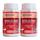 2 Potes Garra do Diabo Pura Kit 120 Cápsulas de 500mg
