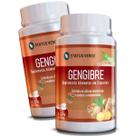 2 Potes Gengibre Puro 500mg Kit 240 Cáps 2 Potes Gengibre Puro 500mg Kit 240 Cáps