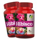 2 Potes Hibisco 100% Natural Puro Kit 240 Cáps - Fonte Verde