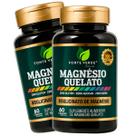 2 Potes Magnésio Quelato 390mg Puro Kit 120 Cáps - Fonte Verde