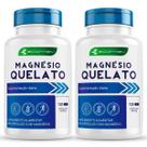 2 Potes Magnésio Quelato Puro Concentrado 500Mg 120Cáps Ecomev (Kit 4 Meses)