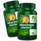 2 Potes Moringa Pura Natural Kit 240 Cápsulas - Fonte Verde