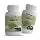 2 Potes Superalimento de Alfafa 120 Cápsulas 500mg 2 Potes Superalimento de Alfafa 120 Cápsulas 500mg