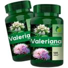 2 Potes Valeriana 100% Natural Kit 240 Cáps - Fonte Verde 2 Potes Valeriana 100% Natural Kit 240 Cáps - Fonte Verde