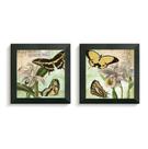 2 Quadros Decorativos Borboletas e Flores Coloridas Moldura Caixa Alta Vidro