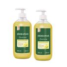 2 Sabonete Líquido Limão Siciliano E Alecrim 500ml Hidramais