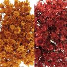 2 Sempre Vivas Florzinha Lembrancinha Desidratadas Seca