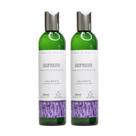 2 Shampoo para Cabelos Oleosos Refresh 300ml