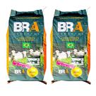 2 Unid Brachiaria Decumbens 10kg Incrustada Bra Resistênte à Pragas E Doenças