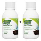 2 Unidades Fertilizante Forth Enraizador 60ml - Enraizador para orquideas, cactos suculentas - Estaquia e alporquia