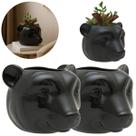 2 Vasos De Parede Cachepot Urso P/ Plantas Suculentas Cactus