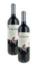 2 Vinho Tinto Chilano Malbec Collection Garrafa Vidro 750ml