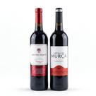 2 Vinhos Tintos Secos Portugueses Douro 750ml