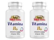 2 Vitamina B6 Piridoxina 60cap 500mg 1xdia 2 Vitamina B6 Piridoxina 60cap 500mg 1xdia