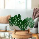 20 Folhagem Costela de Adão em Silicone realista Planta de plástico artificial decoração e enfeites - DE0624