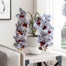 20 Galhos de orquídea Artificial ótima opção para decoração de lavabo em casas e apartamentos - DE1424