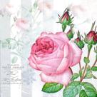 20 Guardanapos Decoupage Ambiente Flores Rosas 20 Guardanapos Decoupage Ambiente Flores Rosas