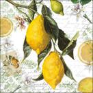 20 Guardanapos para Decoupage Ambiente Limão