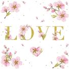 20 Guardanapos para Decoupage Ambiente Mensagem de Amor