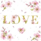 20 Guardanapos para Decoupage Ambiente Mensagem de Amor