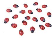 20 Joaninhas Miniaturas Terrário Mini Mundo Jardim Decoração