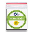 20 Sementes Girassol Anão Sungold Dobrado