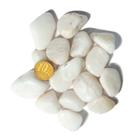 200g Quartzo Leitoso Rolado Pedra Natural P 10 a 20mm Tipo B 200g Quartzo Leitoso Rolado Pedra Natural P 10 a 20mm Tipo B