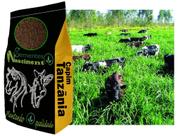 20kg Sementes de capim Tanzãnia para pastagem excelente para Caprinos /Equinos /Bovinos