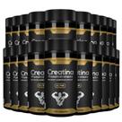 20x creatina monohidrata 3g pure 120caps 1550mg atacado