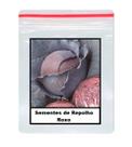 220 Sementes de Repolho Roxo