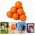 24x Bolinha Lisa Fisioterapia de Mãos Anti Stress Pet e Exercícios Frescobol