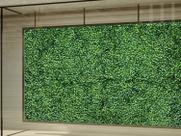25 Painéis Jardins Verticais Uv preço atacadista - enfeite de faixa em paredes de plantas internas