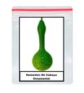25 Sementes De Cabaça Ornamental