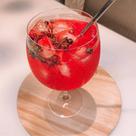25 Taças De Gin/Vodka 450 ML Acrílico (sem Gravar) Excelente para festas de aniversário
