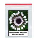 250 Sementes De Margarida Africana Sortida 250 Sementes De Margarida Africana Sortida