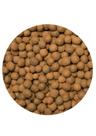 2kg Argila Expandida 3222 - Plantas, Jardim e outros