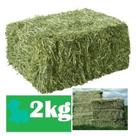 2kg Feno Tifton 85 - Para Coelho,Porquinho da India e Roedores em Geral.