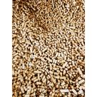 2KG Granulado Madeira Super Premium Granel - Areia Madeira para Gato - Sanitário Granulado para