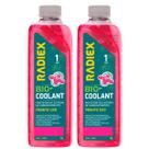 2L Aditivo Fluido Do Radiador Radiex Rosa Pronto Uso Biocoolant Orgânico OAT 2L Aditivo Fluido Do Radiador Radiex Rosa Pronto Uso Biocoolant Orgânico OAT